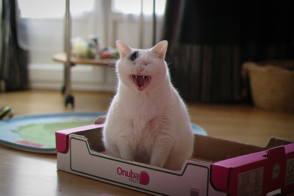 “法甲积分榜变动频繁,争冠形势扑朔迷离”,法甲积分榜2021一2022