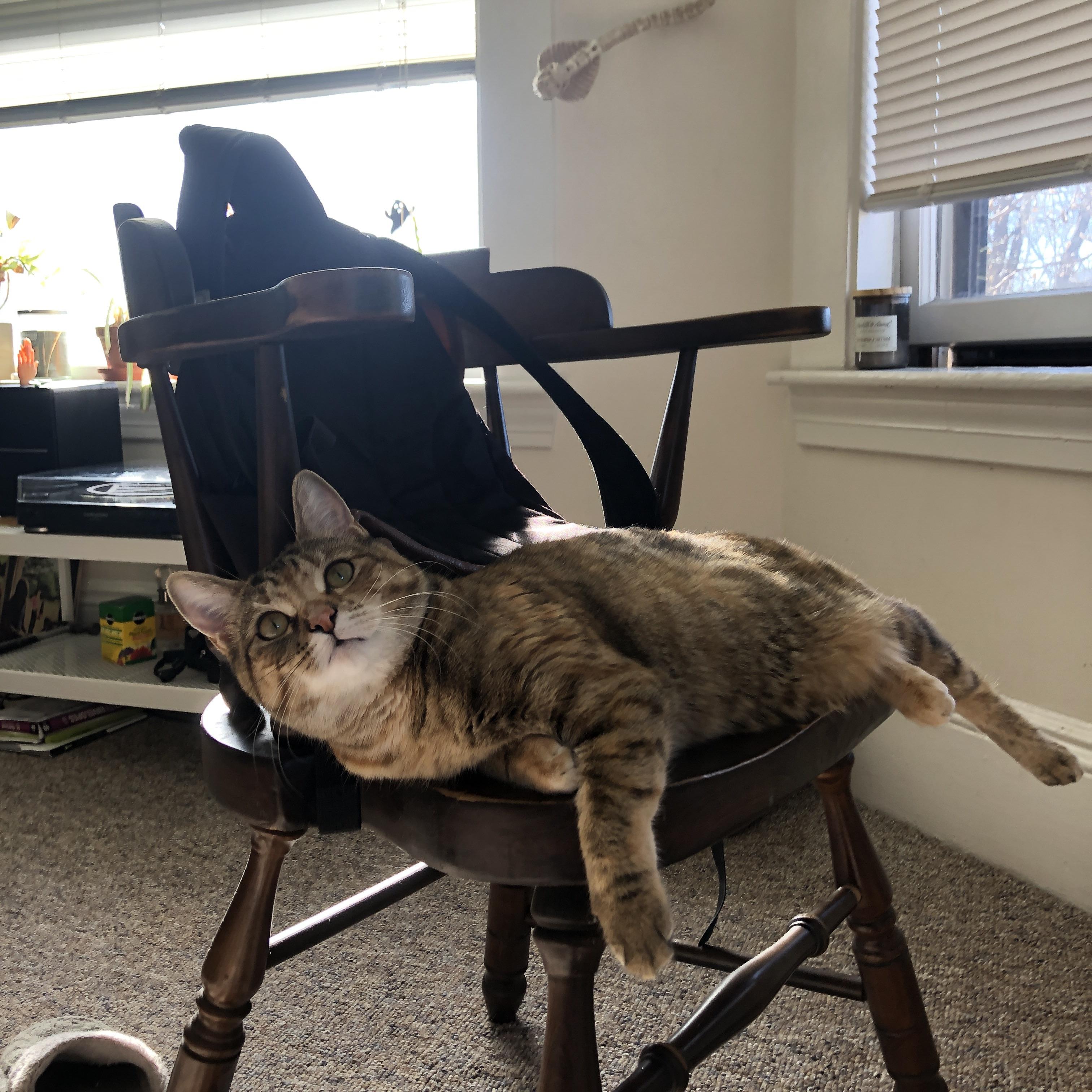 今年联盟助攻榜:你支持的球员都在前列吗?,英雄联盟职业联赛助攻榜