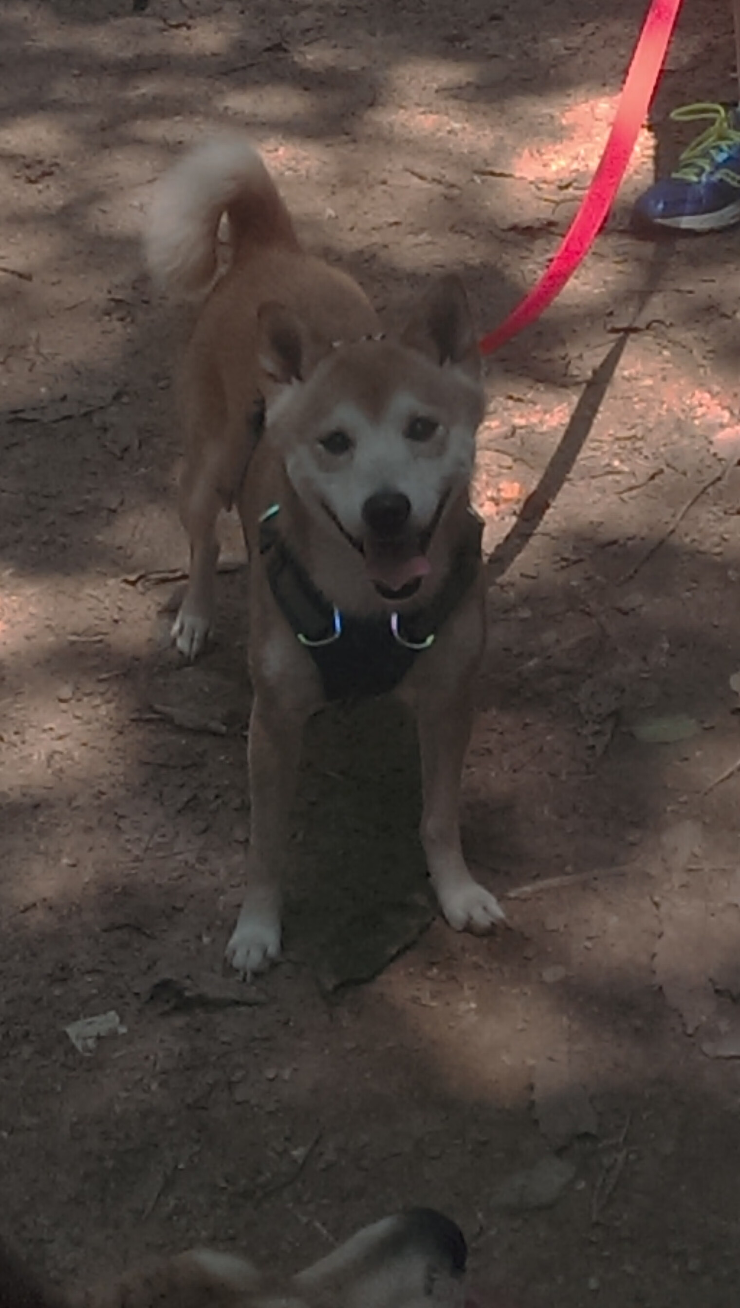 开云网站-《守望先锋》赛事对电竞教育的推动：专业课程与人才培养，守望先锋年度电竞游戏