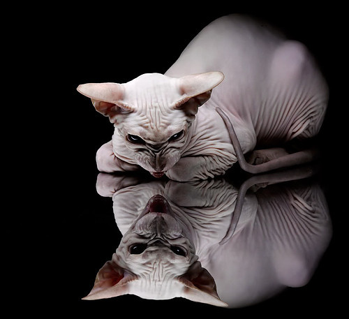 开云中国大陆-史上“最默契”的团队合作瞬间，配合同样令人陶醉，团队合作默契的成语